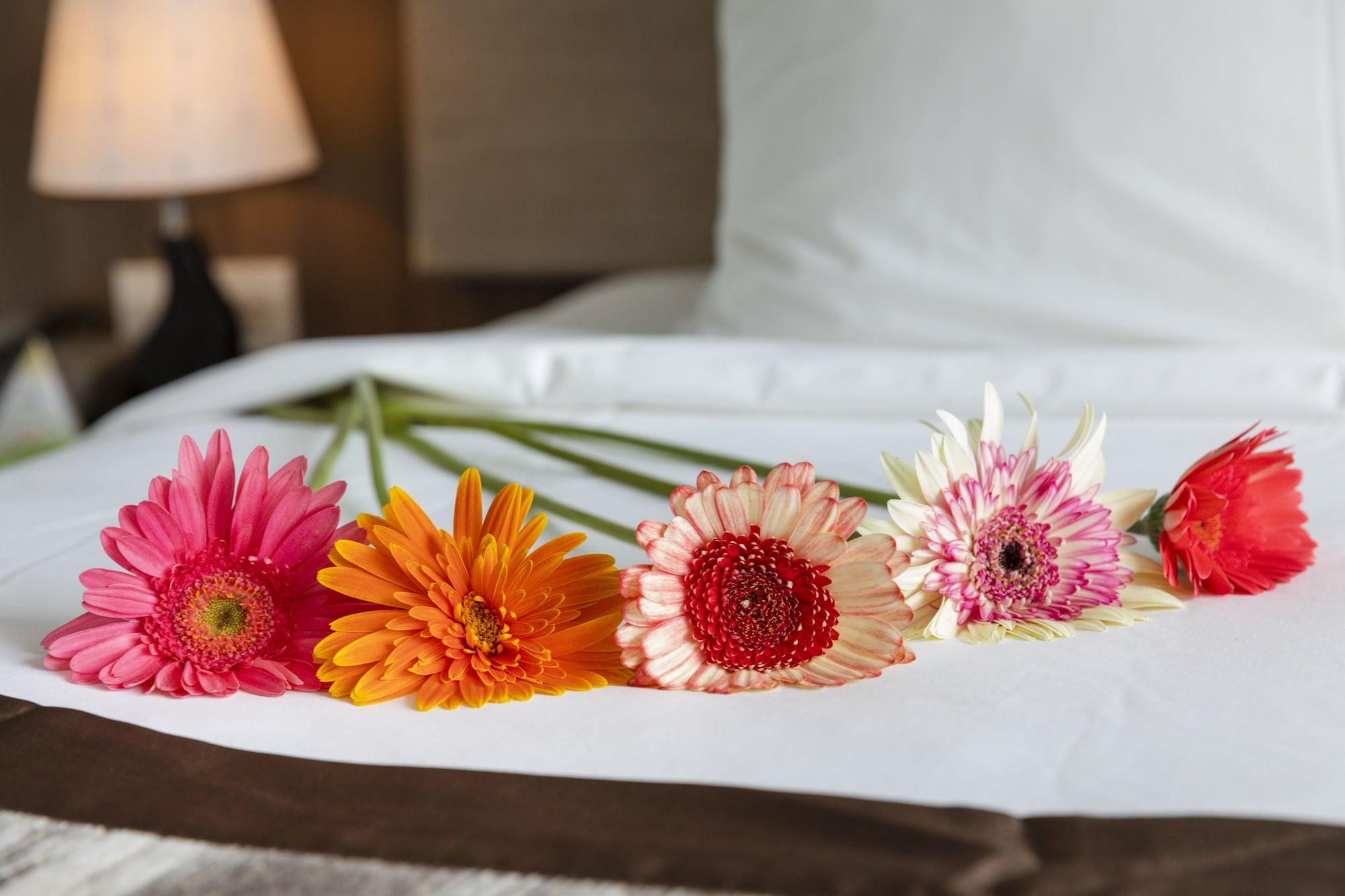 Habitación Libra Hotel Nha Trang