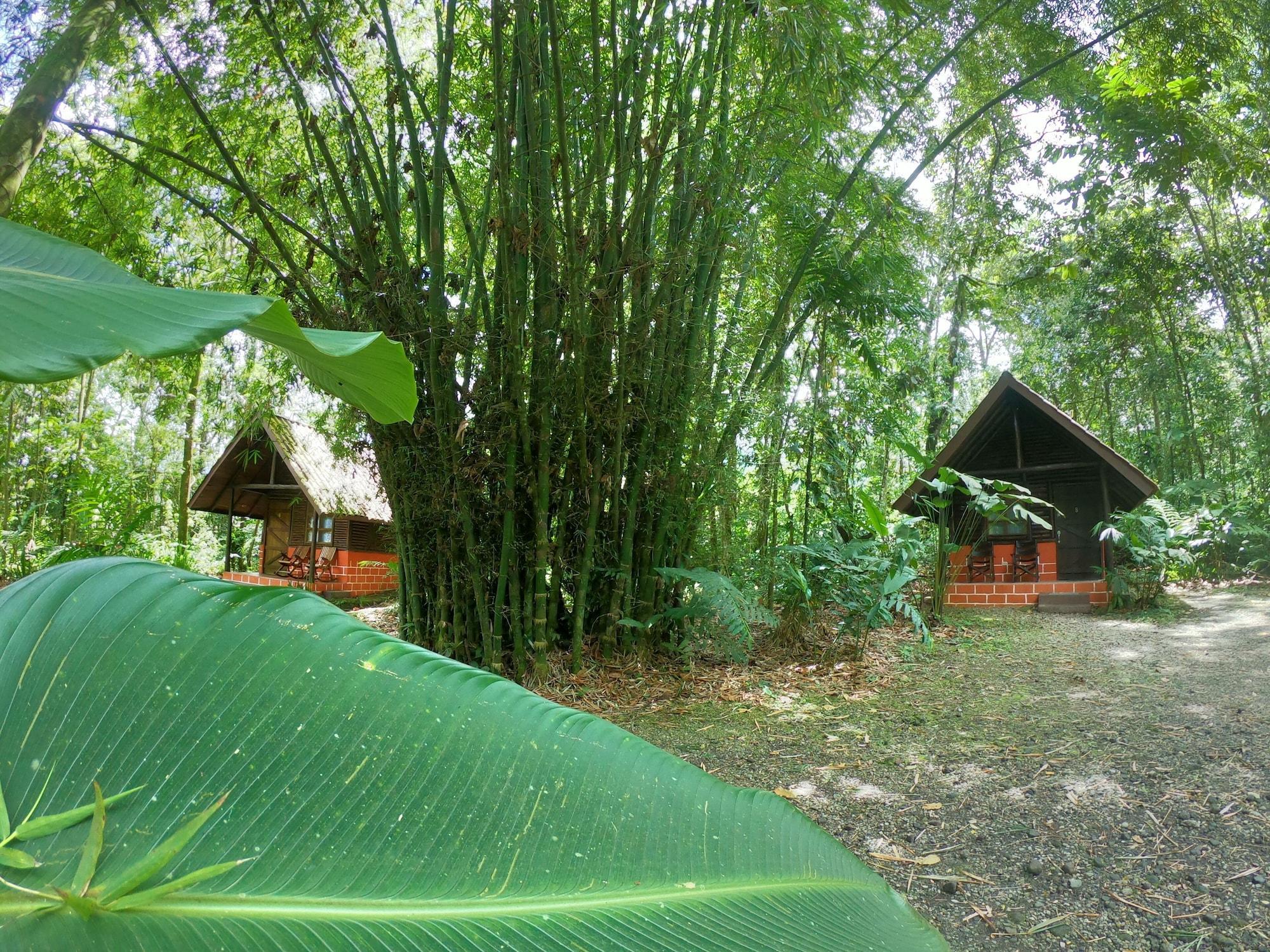 Vista Exterior Arenal Oasis