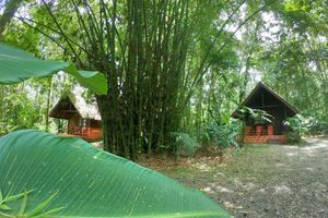 Alojamiento - Arenal Oasis