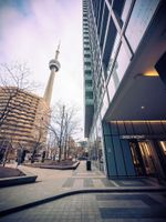 Alojamiento - Comfy Suites Rogers Centre Free Parking