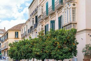 Alojamiento - limehome Malaga Calle Victoria