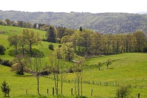 Alojamiento - Chambres d'hôtes du Plateau de la Danse