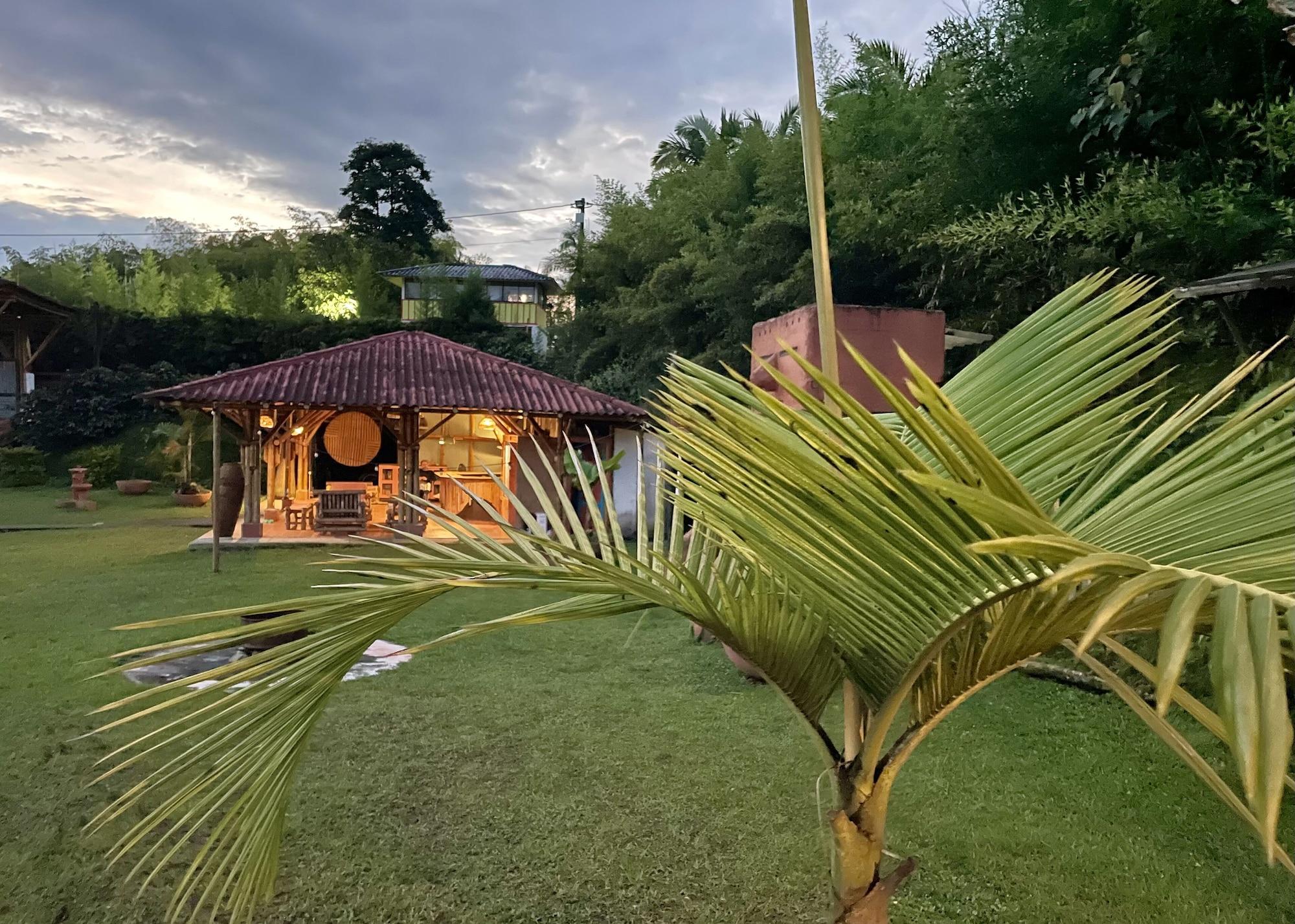 Vista Lobby MuchoSur Filandia