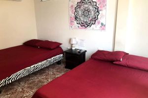Alojamiento - Hostal Malania