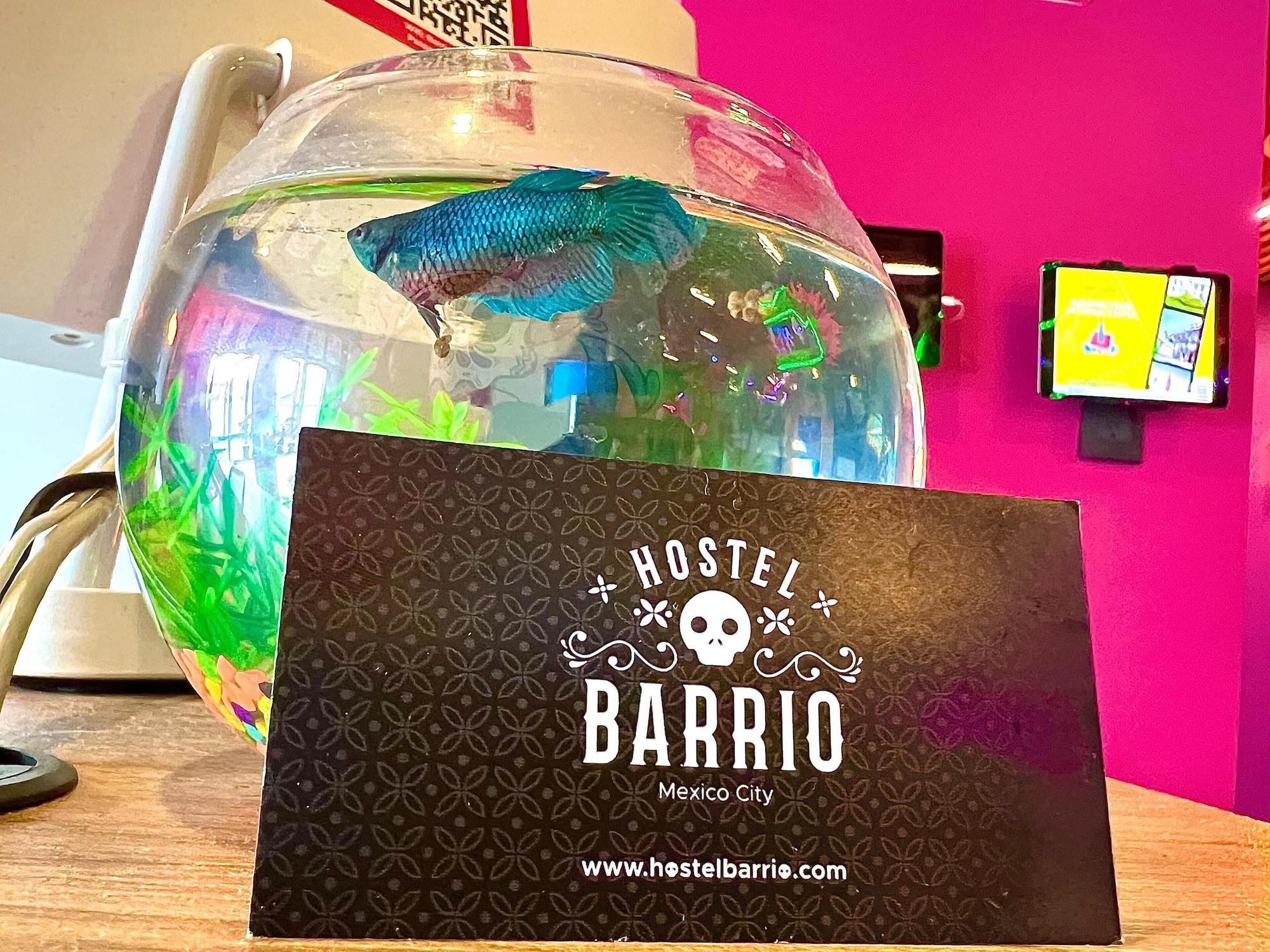 Hotel Barrio Downtown Mexico City Hostel