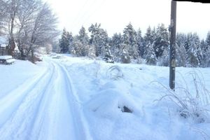 Alquiler Vacacional - WILDWOOD in the Scottish Highlands near Loch Ness and Fort Augustus Pet Friendly