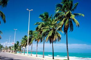 Pacote - Pacotes para Maceió
