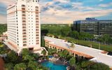 DoubleTree by Hilton Orlando Theme Park Resort