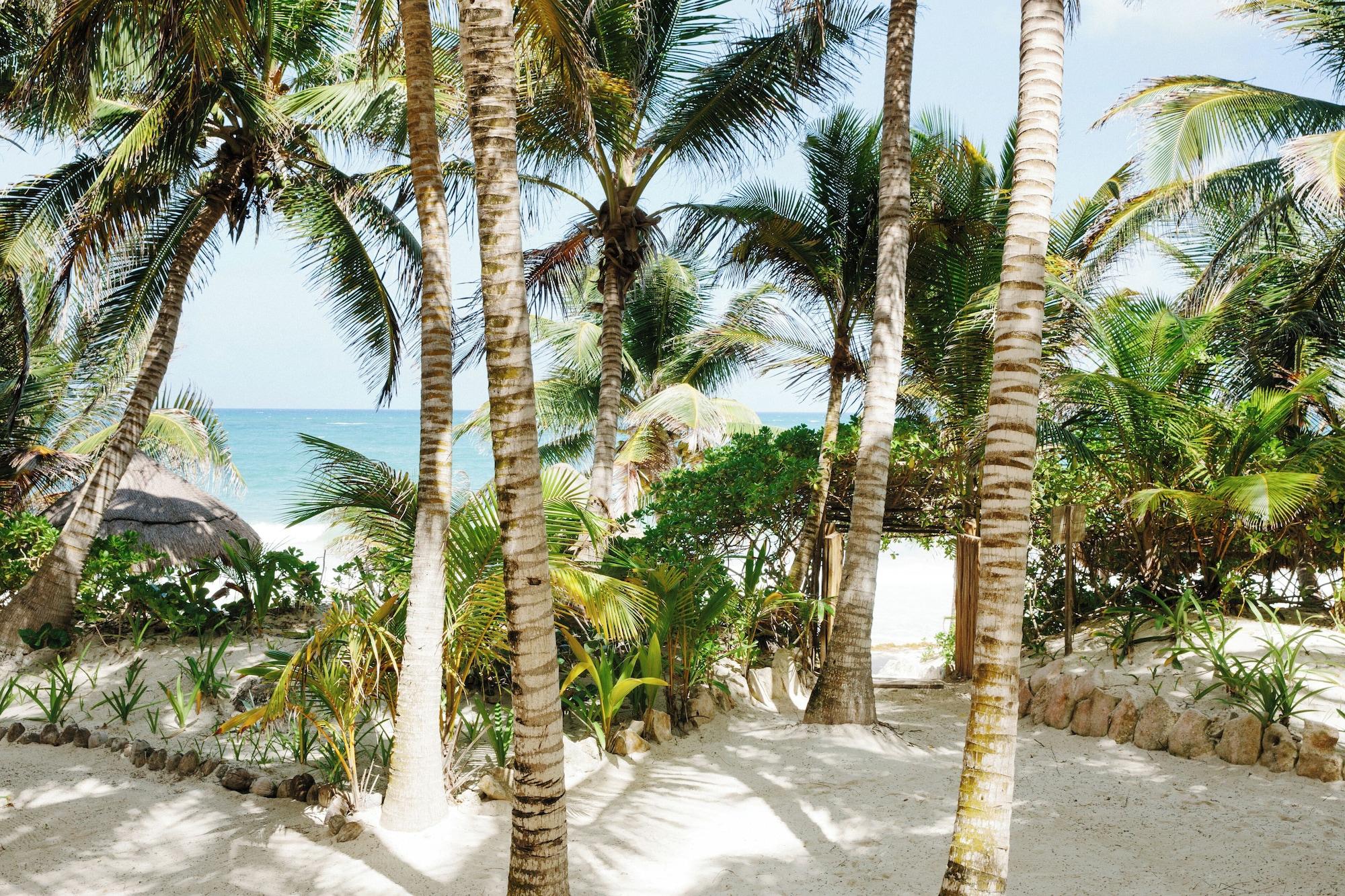 Vista Exterior Olas Tulum