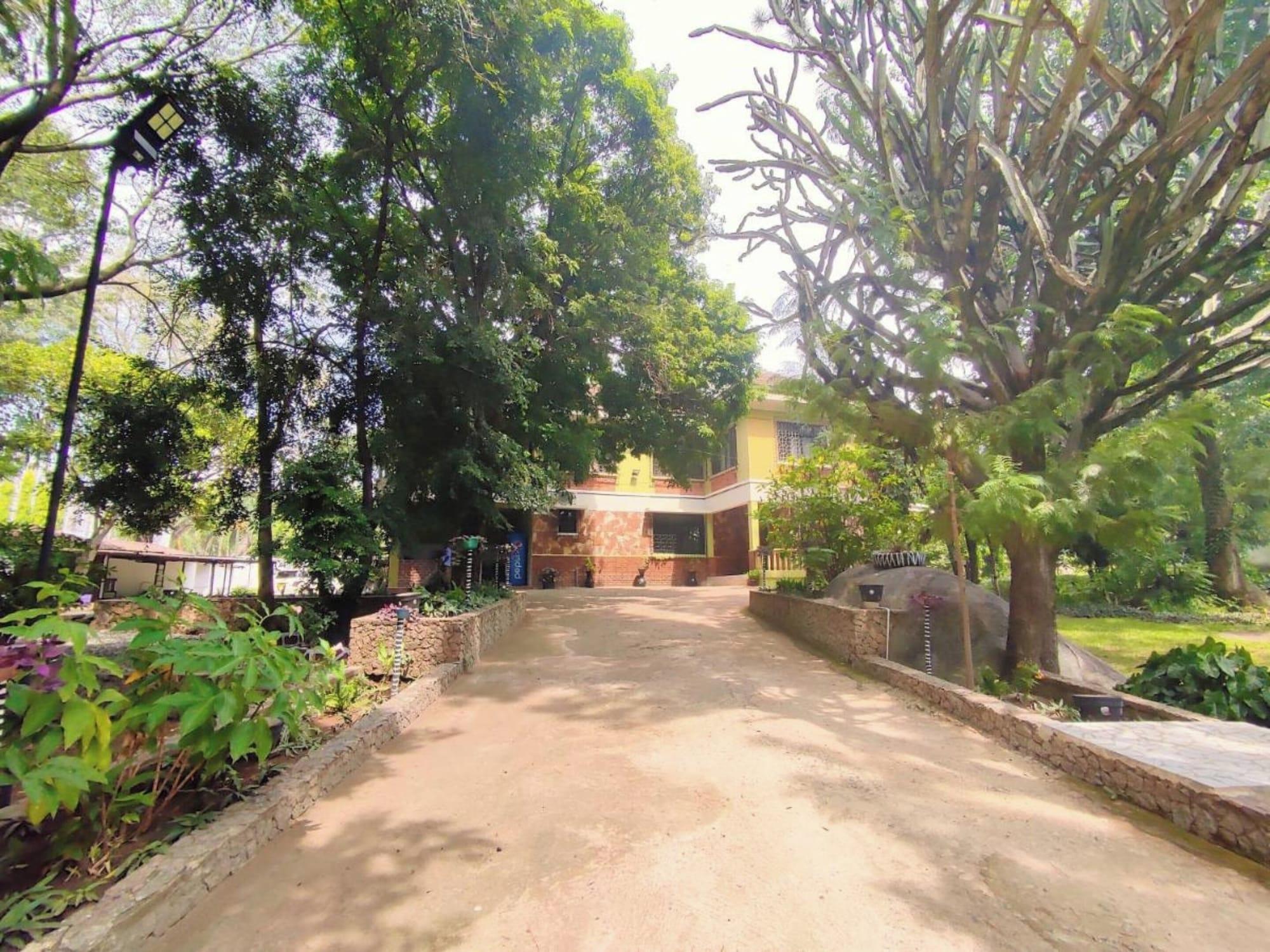 Vista Exterior Olivia Guesthouse