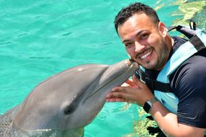 Actividad - Experiencia de un día con delfines en Isla mujeres