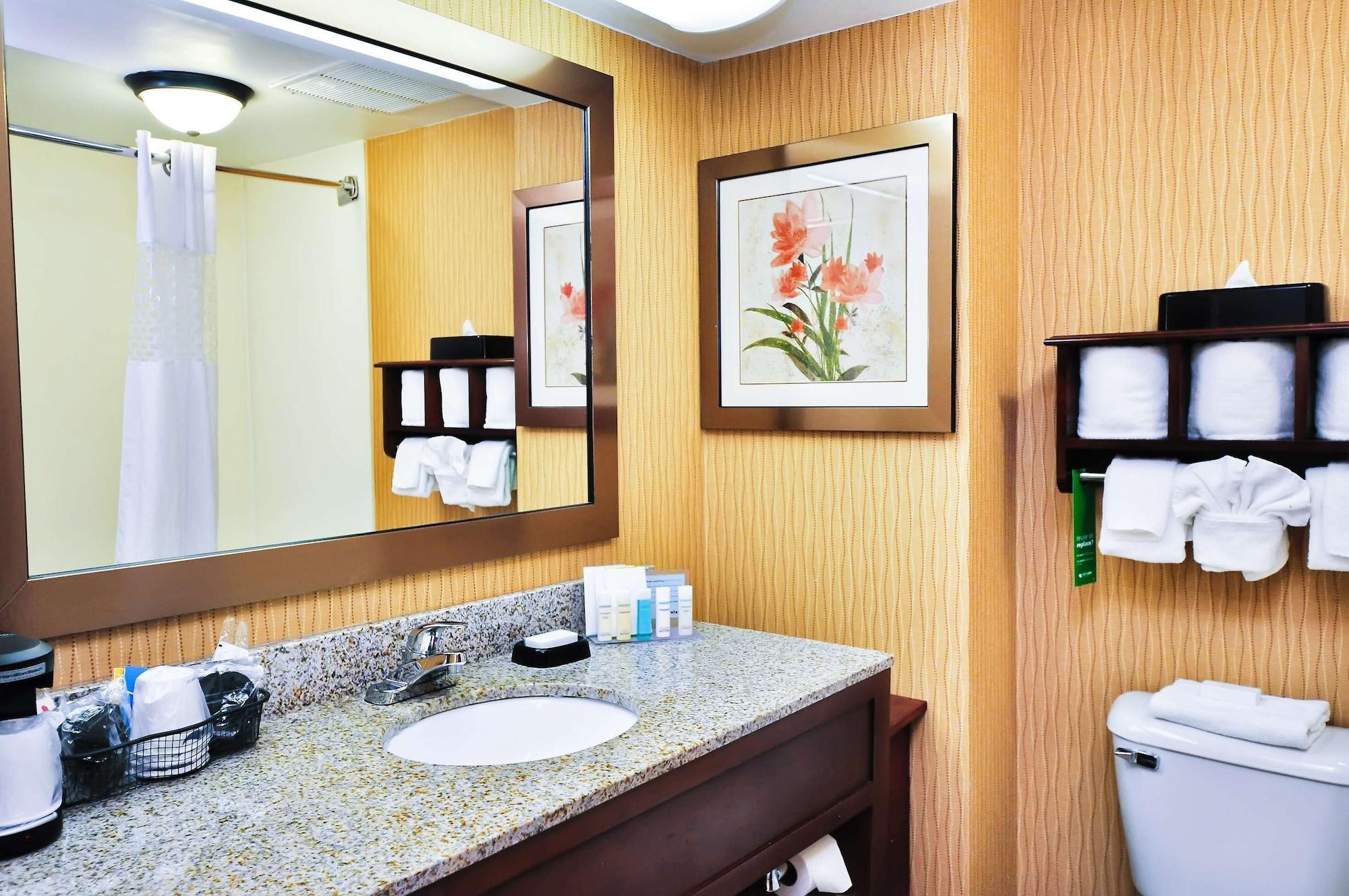 Equipamiento de Habitación Hampton Inn Carrollton