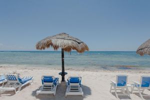 Alquiler Vacacional - Nesting with Turtles