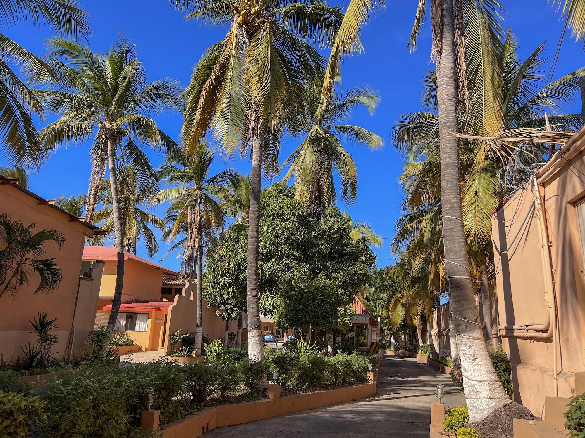 Varios Hotel Oasis