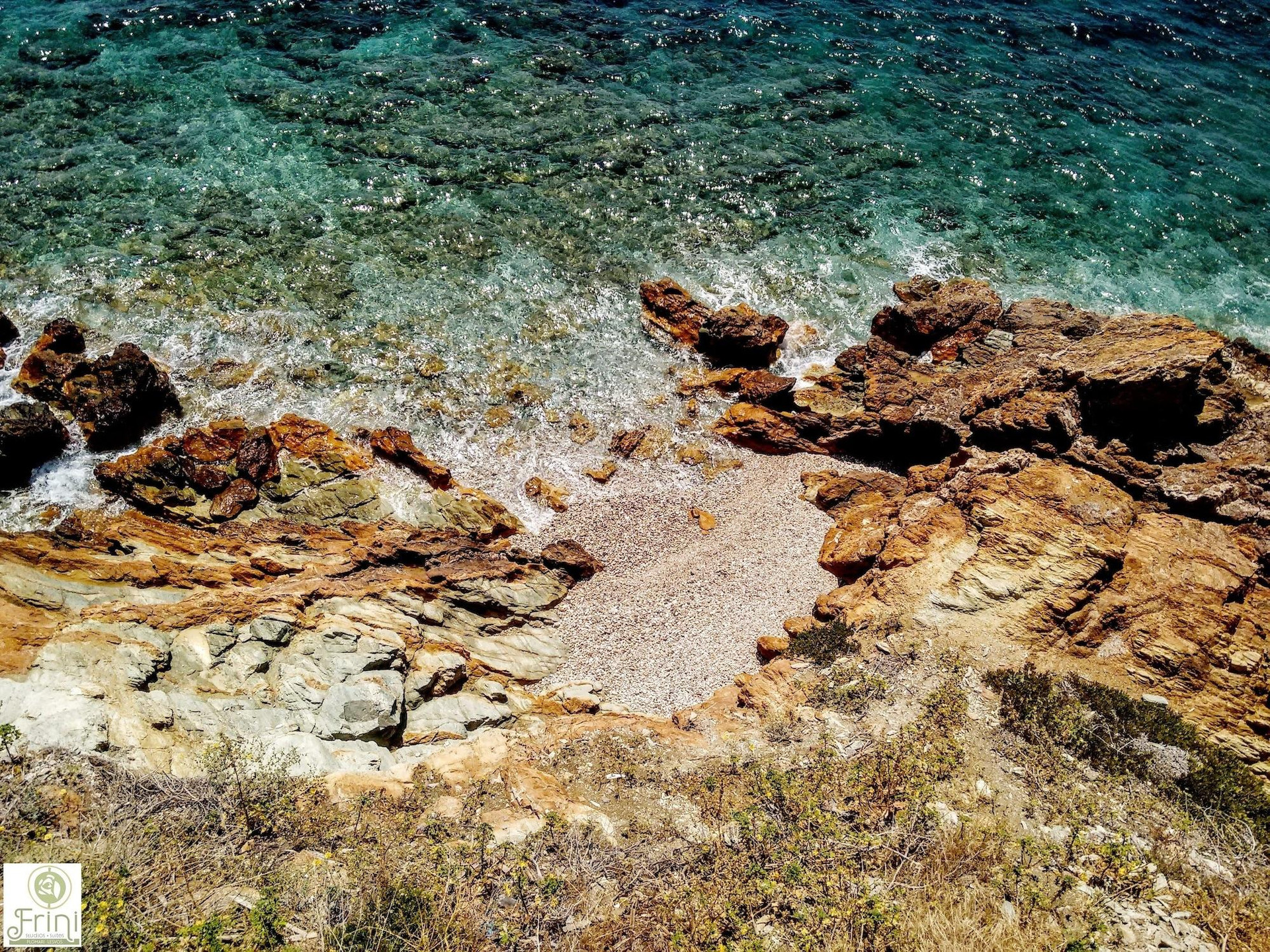 Vista Lobby Frini Studios