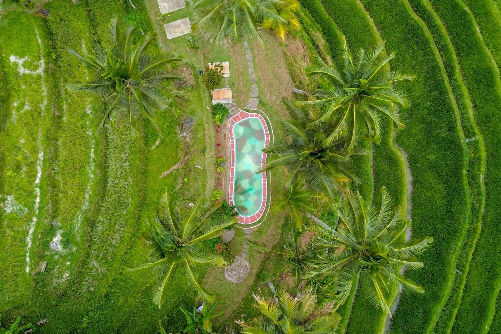 Varios Pesona Bali Ecolodge