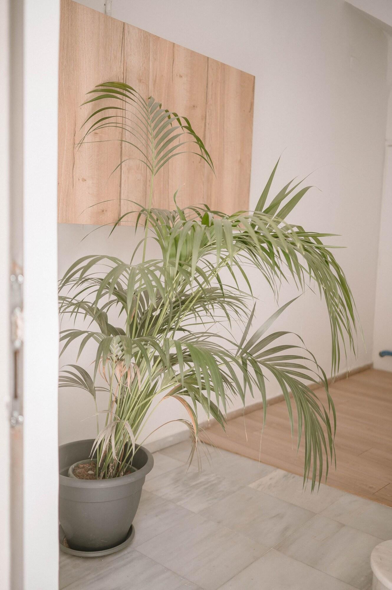 Comodidades del Alojamiento Plānis Str Urban Suites by Semavi