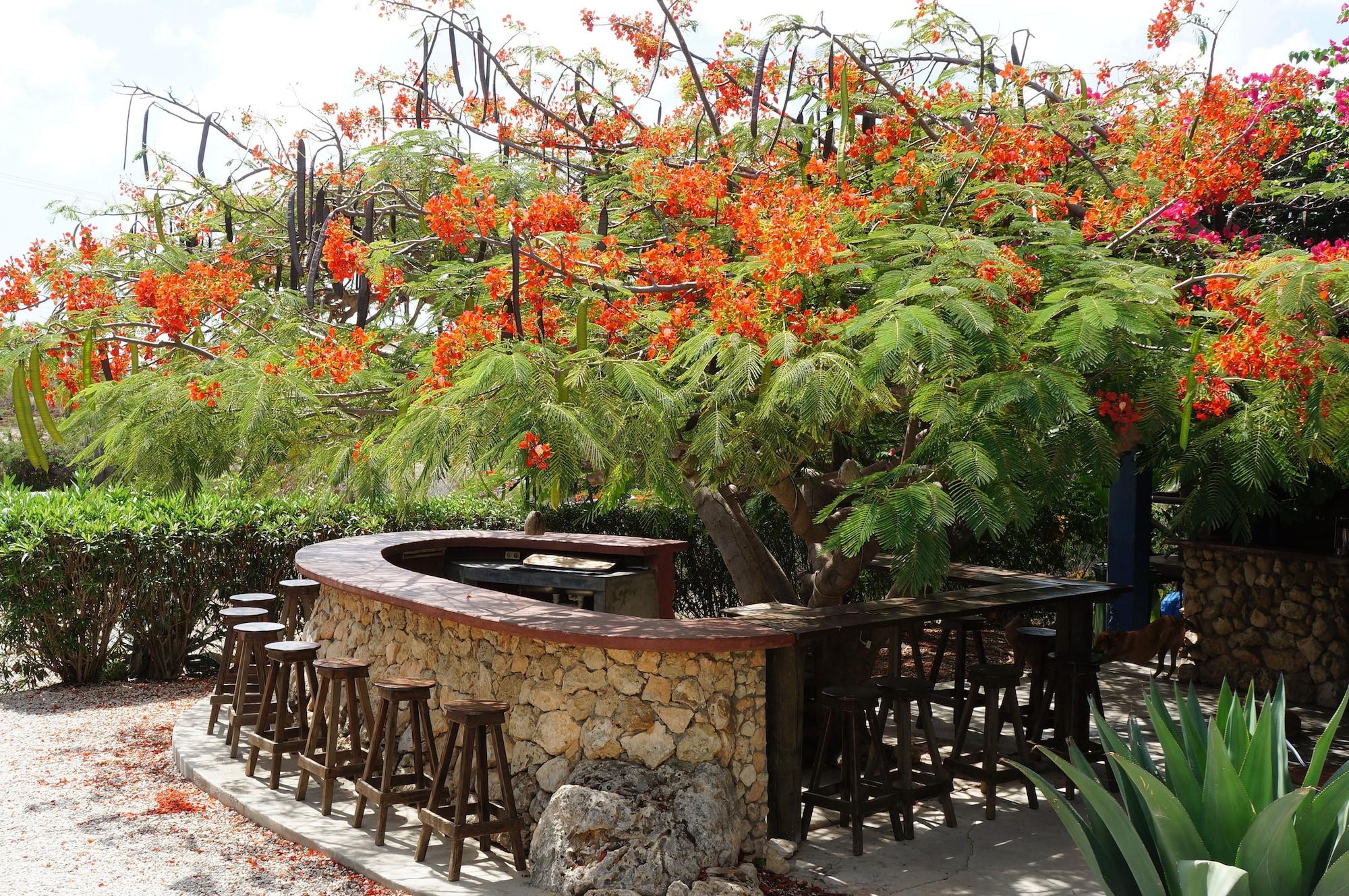 Bar/Salón Caribbean Chillout