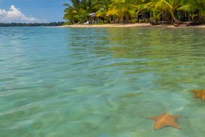 Actividad - Excursión a Playa Estrella y la Isla Pájaros