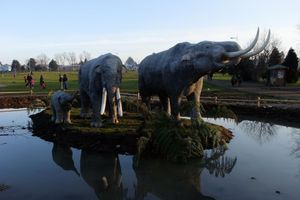 Alojamiento - Hotel Rucaitue