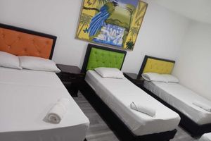 Alojamiento - Hotel las Flores