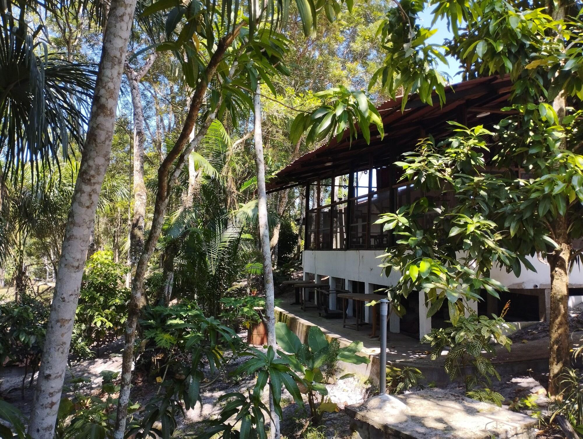Vista Exterior Amazon Lodge Varillal