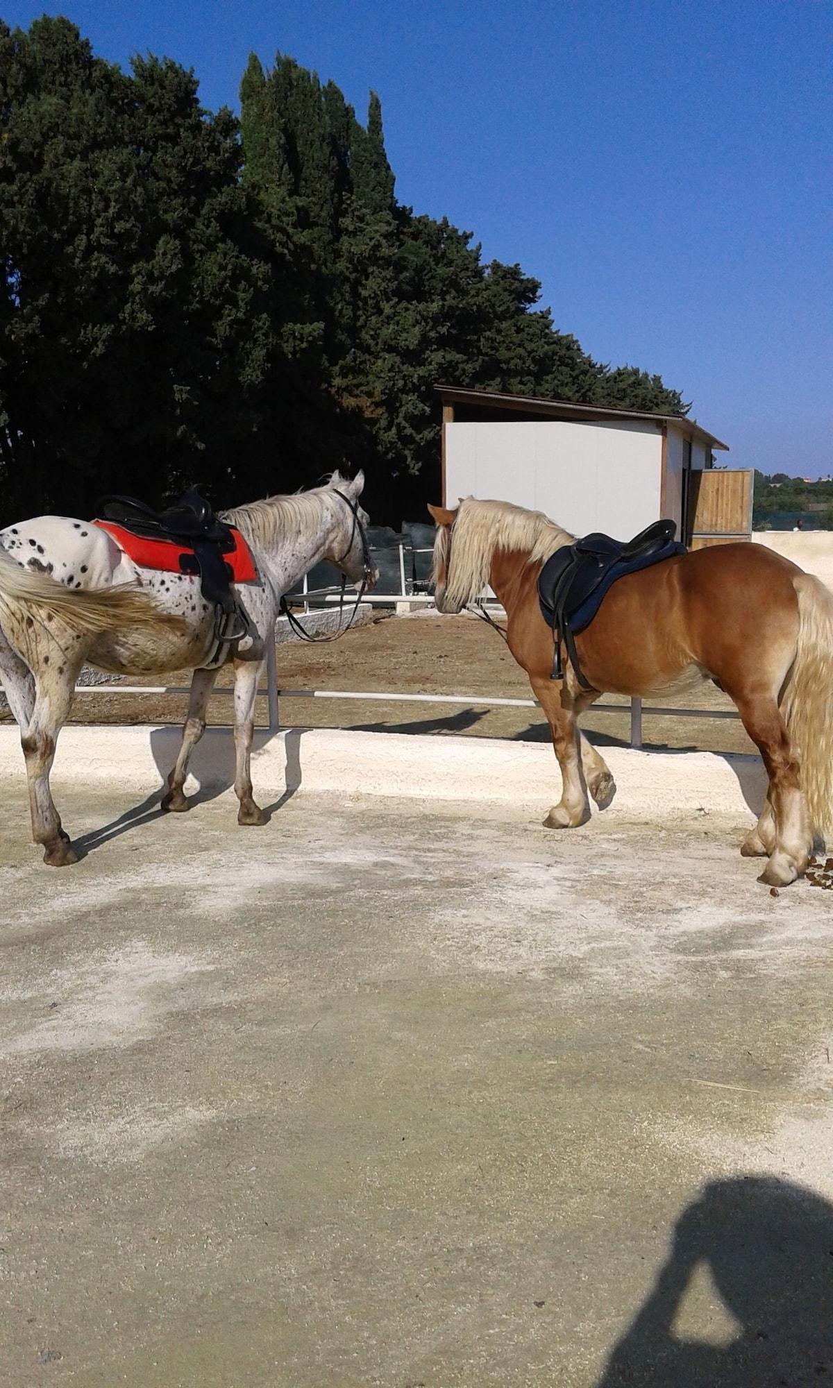 Instalaciones Recreativas Apollonion Country House