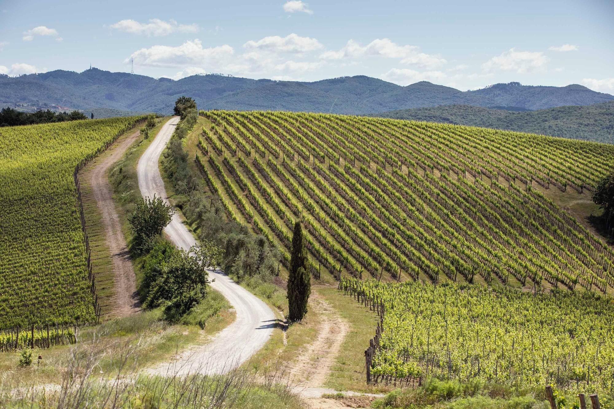 Varios Dievole Wine Resort