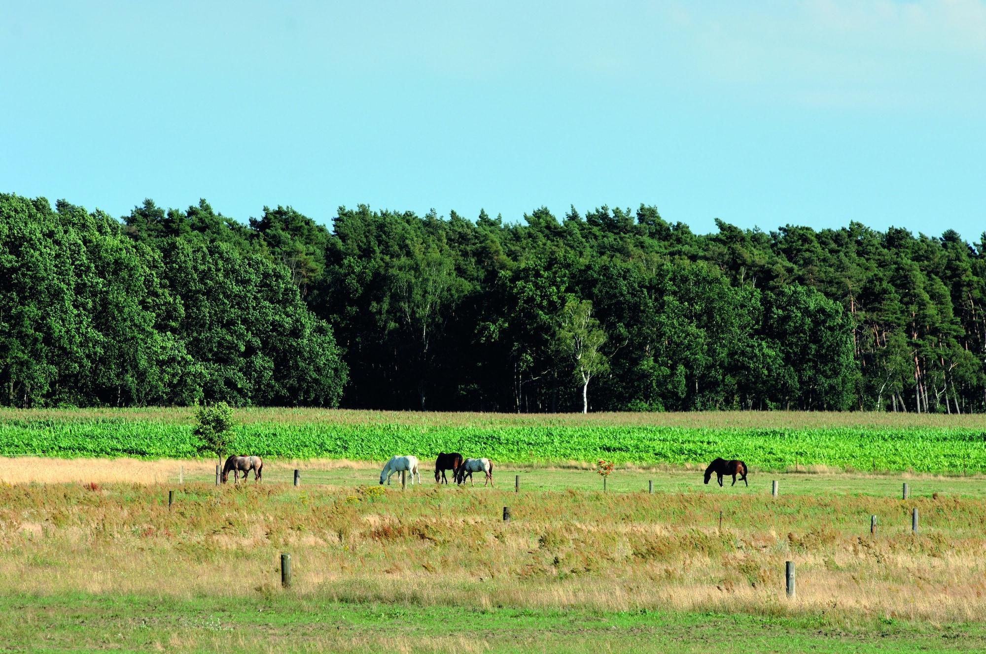 Vista Exterior Das Wolfshotel am Arendsee