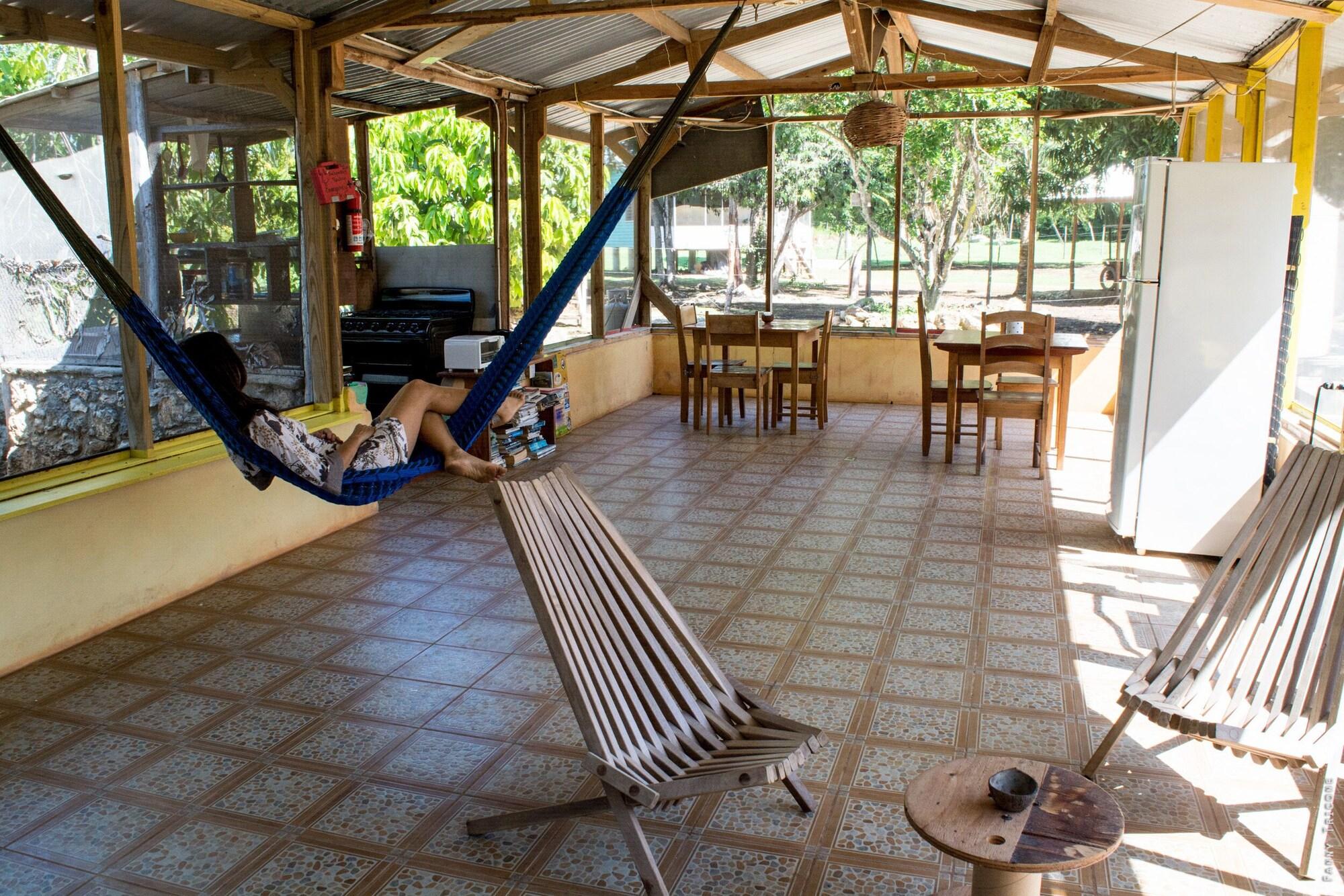 Comodidades del Alojamiento Backpackers Paradise