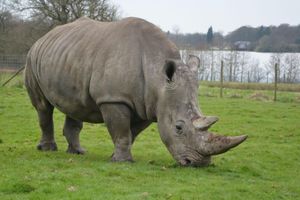 Alojamiento - Holiday Inn Haydock M6 Jct23 by IHG