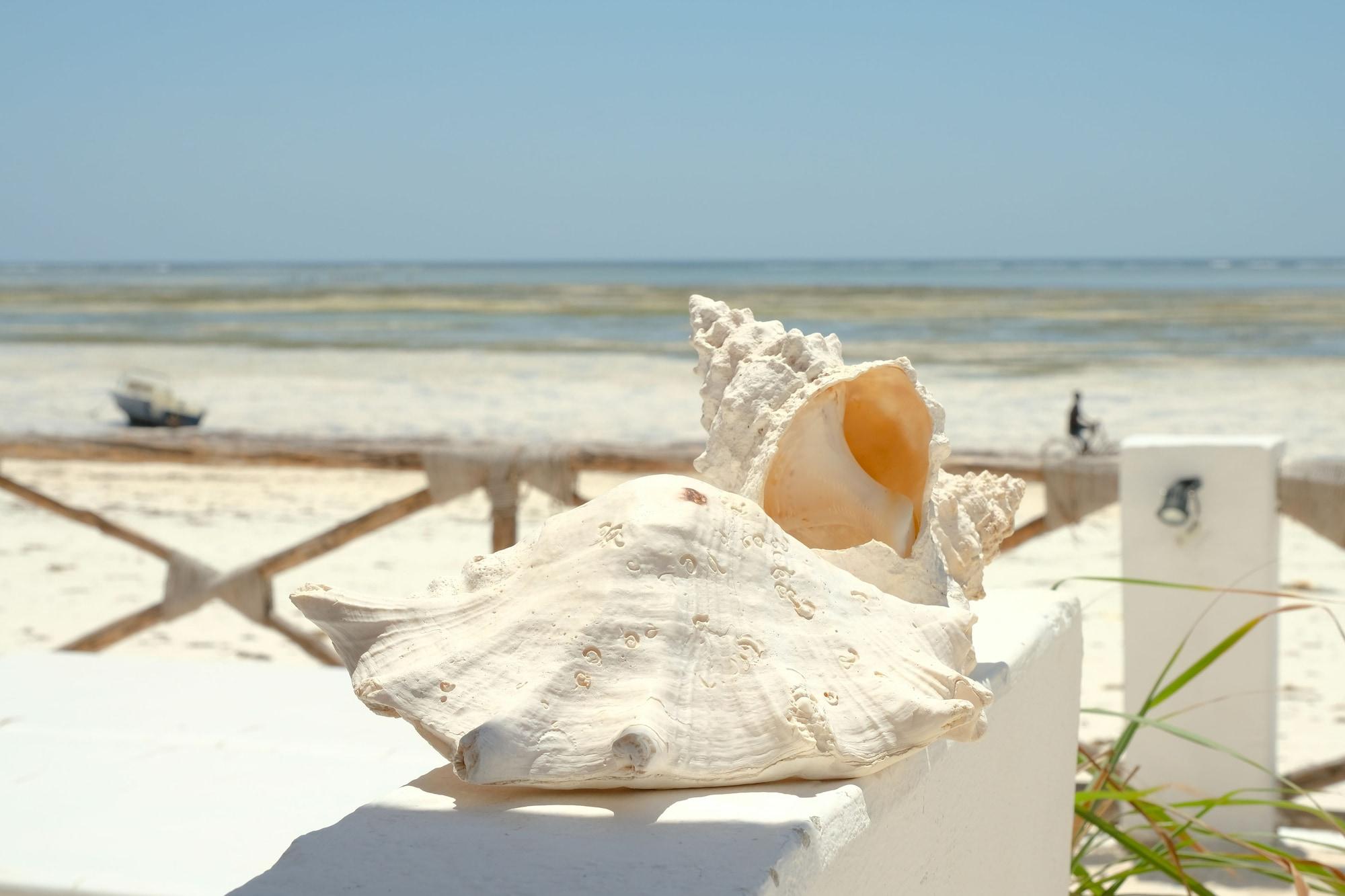 Playa Makuti Beach Bungalows