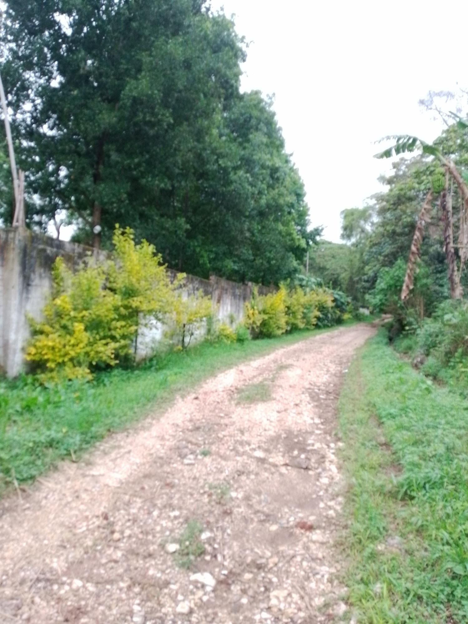 Varios el jardin de los anturios