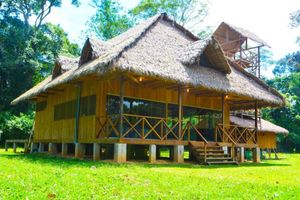 Alojamiento - Tambopata Lodge
