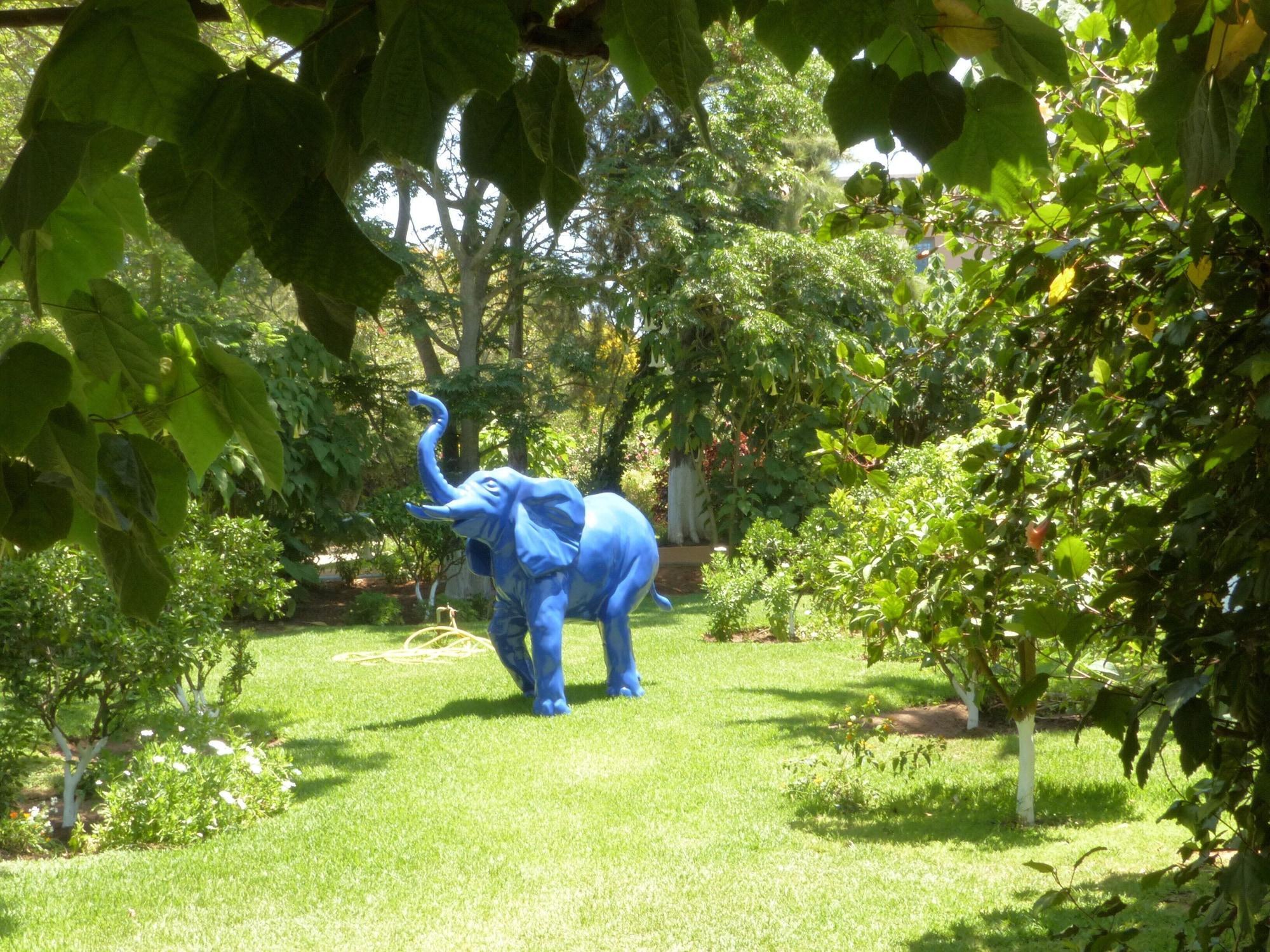 Vista Exterior Villa Mandarine