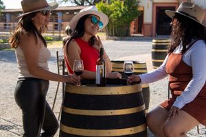 Actividad - Tour de viñedos por Tequisquiapan