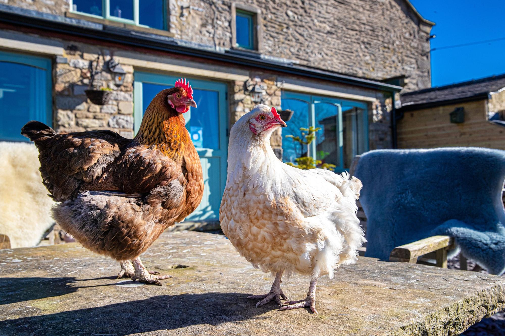 Vista Exterior Middle Studfold Farm B&B