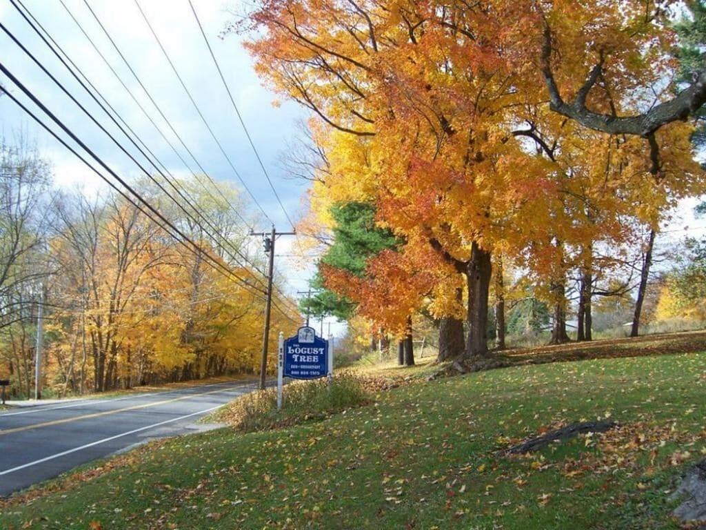 Vista Exterior Locust Tree Bed and Breakfast LLC