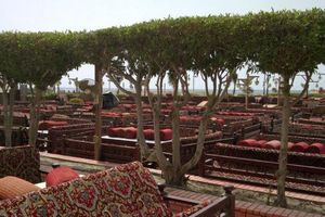 Actividad - Cena en Jeddah en Al Nakheel Restaurant