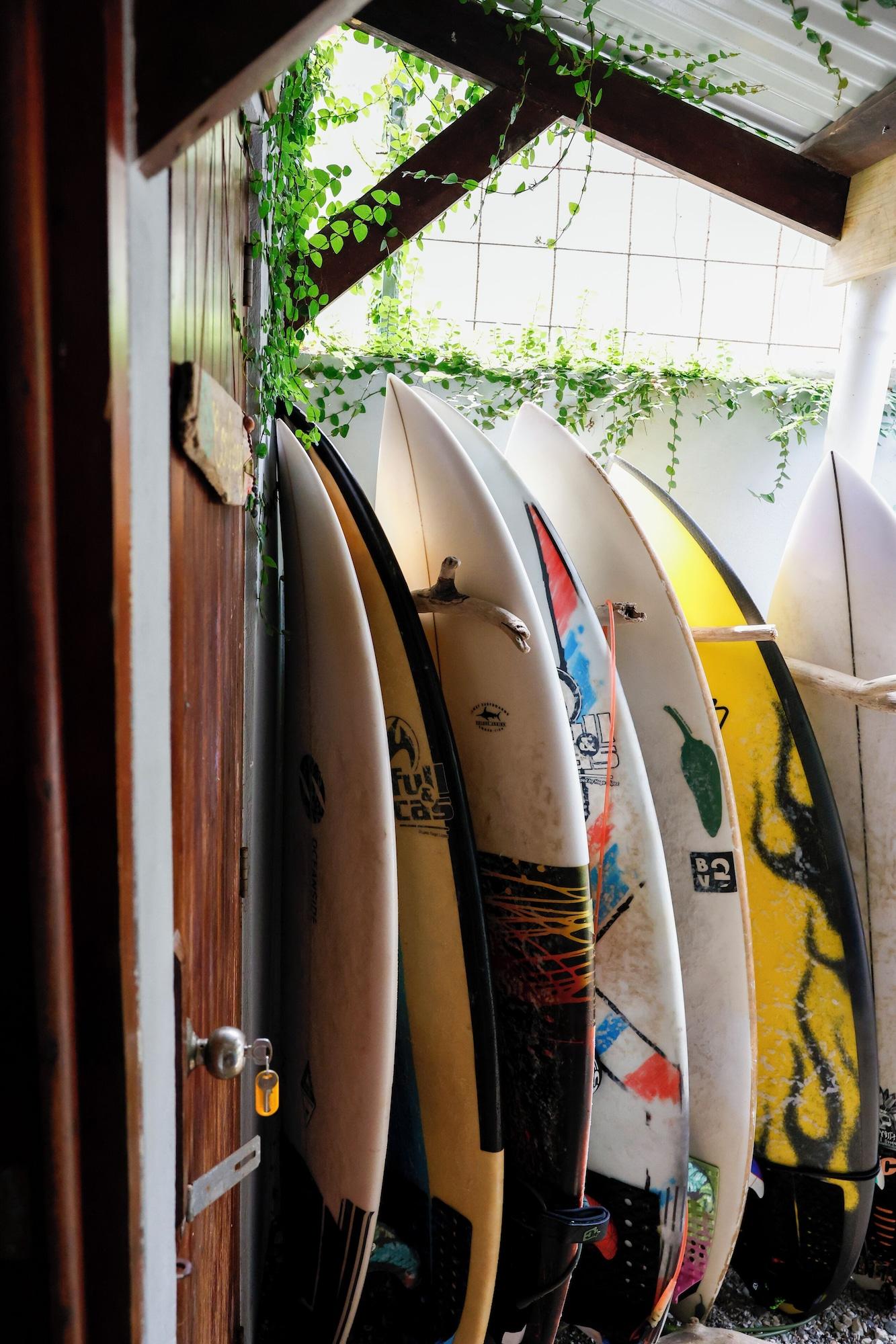 Vista Exterior The Cafecito Surf School & Guesthouse
