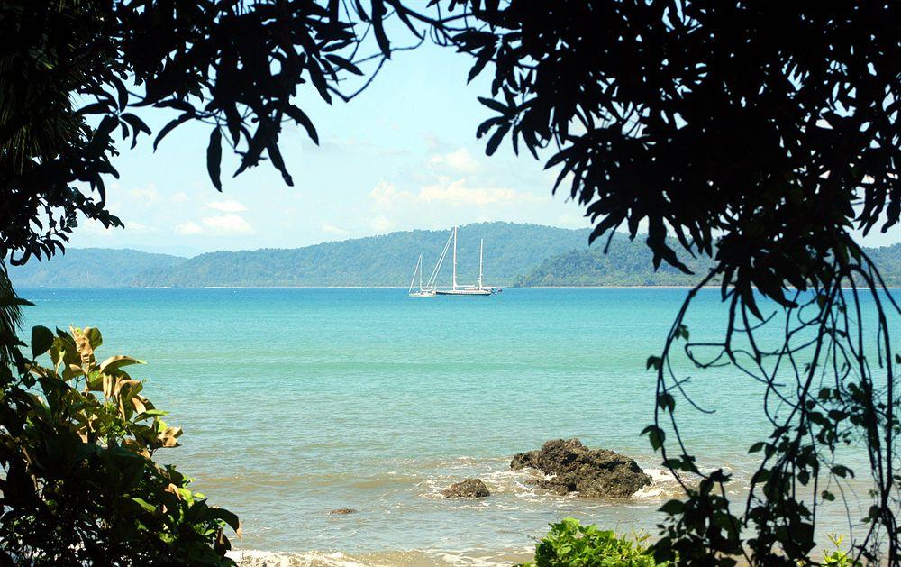 Playa Aguila de Osa Rainforest & Marine Adventure Lodge