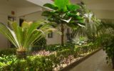 Hotel Casa Blanca