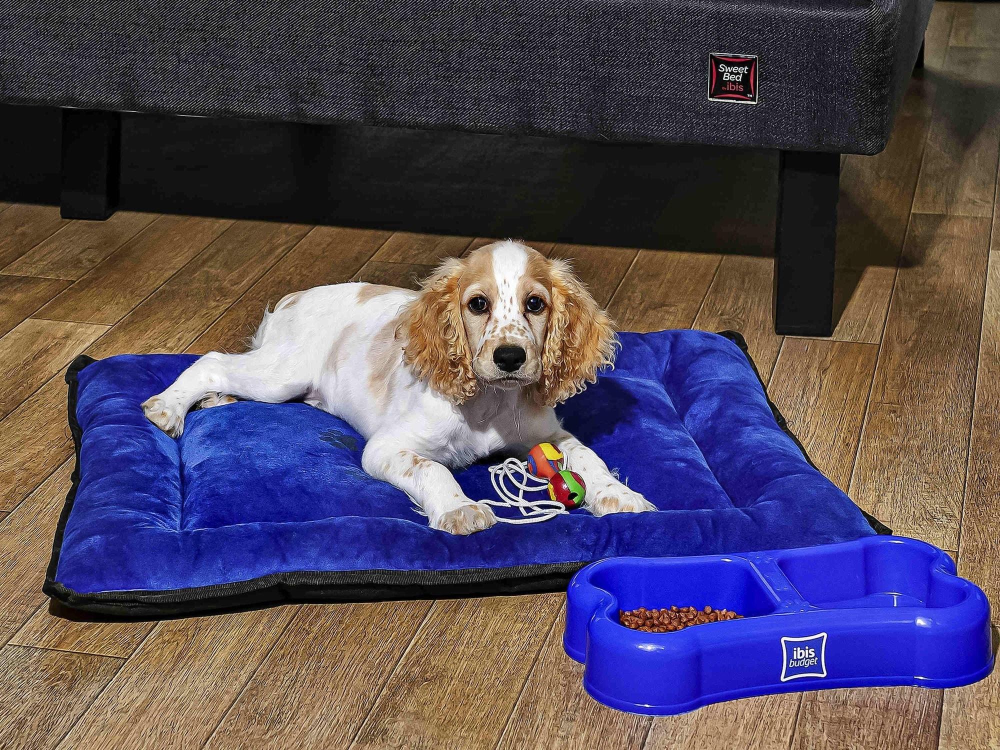 Varios ibis Budget Lima Miraflores