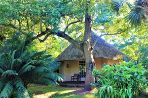 Alojamiento - Idle & Wild