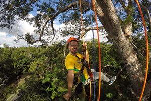 Actividad - Escalada de árboles en el Amazonas