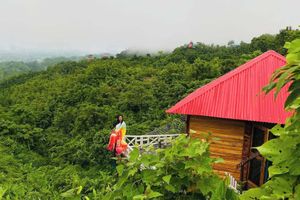 Alojamiento - Mirinja Valley Megh Machang Resort