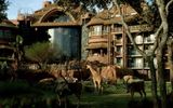 Disney's Animal Kingdom Lodge