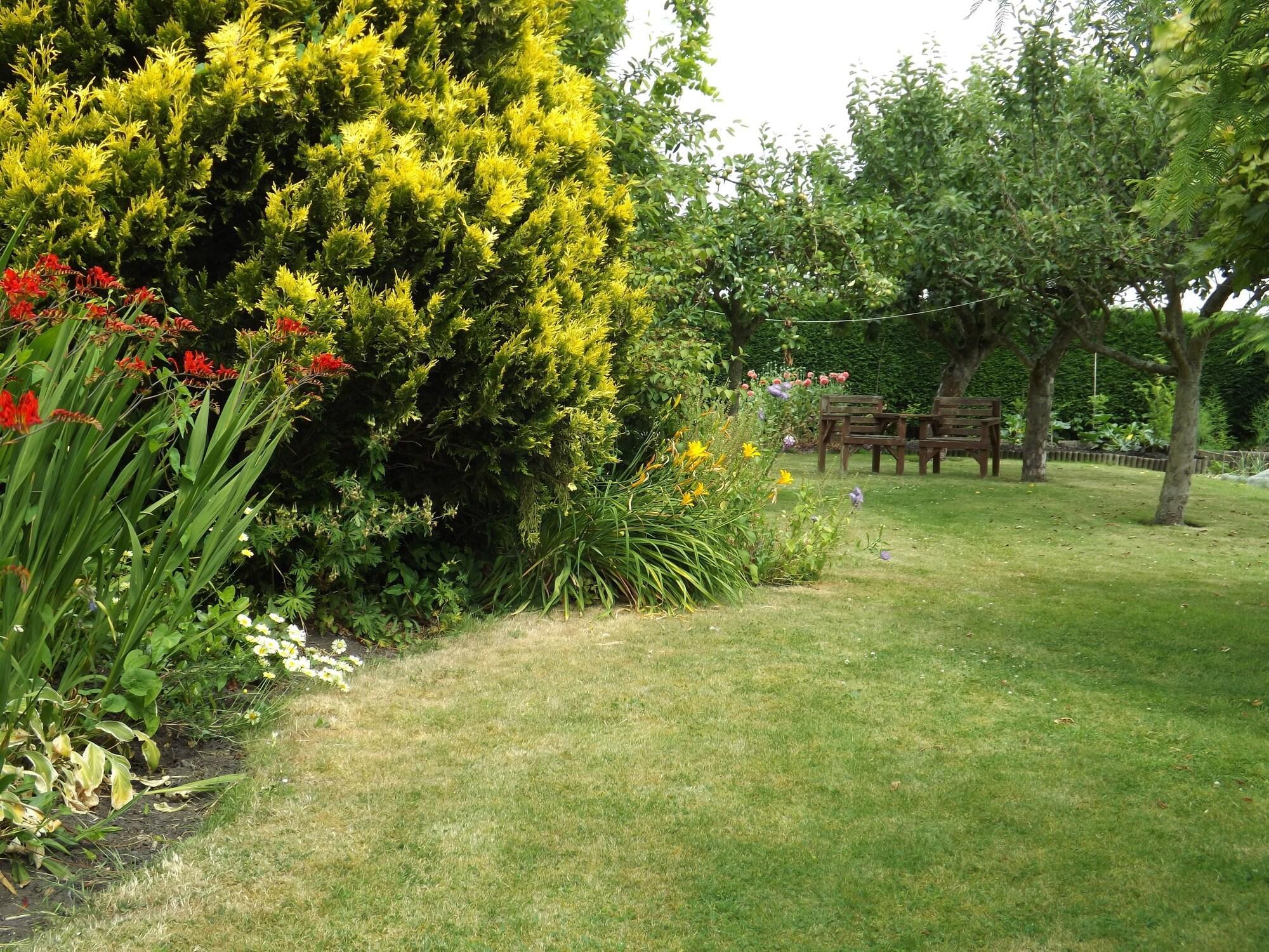 Comodidades del Alojamiento White Cottage