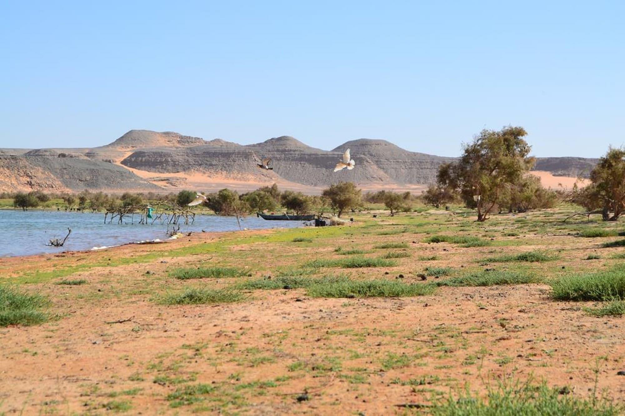 Vista Exterior Toya Hotel