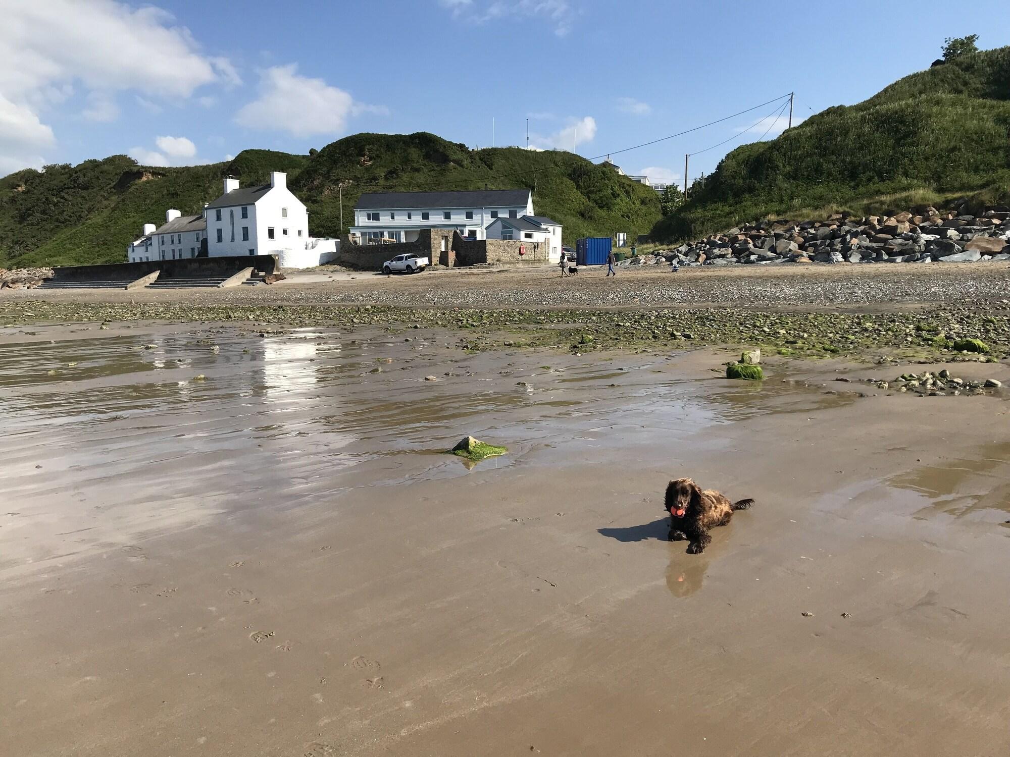 Playa Bryn Noddfa